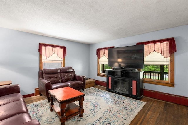 24 Webber Rd, Brookfield, MA 01506 - living area featuring baseboards, wood finished floors, a textured ceiling, and a glass covered fireplace