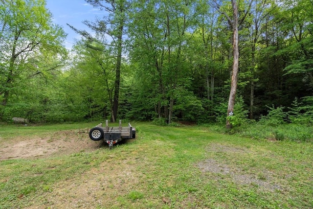 24 Webber Rd, Brookfield, MA 01506 - view of yard featuring a view of trees