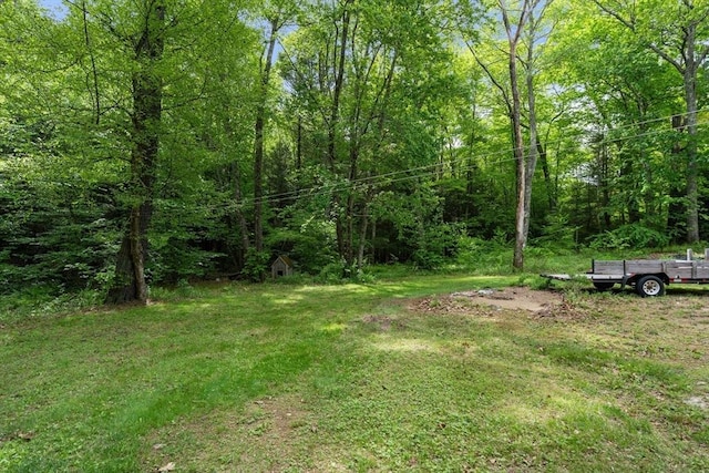 24 Webber Rd, Brookfield, MA 01506 - view of grassy yard with a wooded view