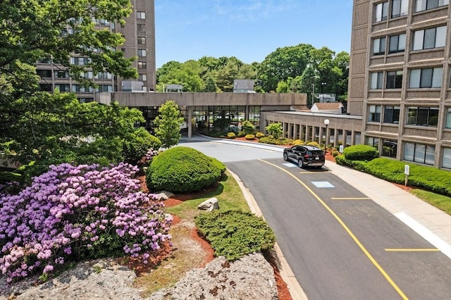 view of asphalt street featuring curbs