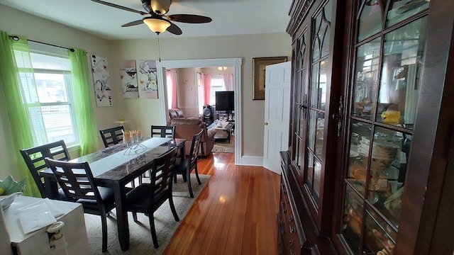 dining room with wood finished floors and a ceiling fan