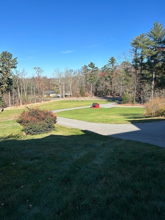 view of property's community with a yard