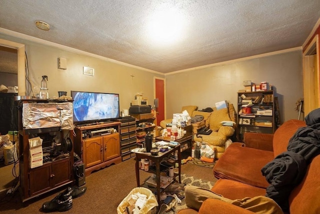 224-232 Caroline, New Bedford, MA 02740 - living area with crown molding, dark carpet, and a textured ceiling