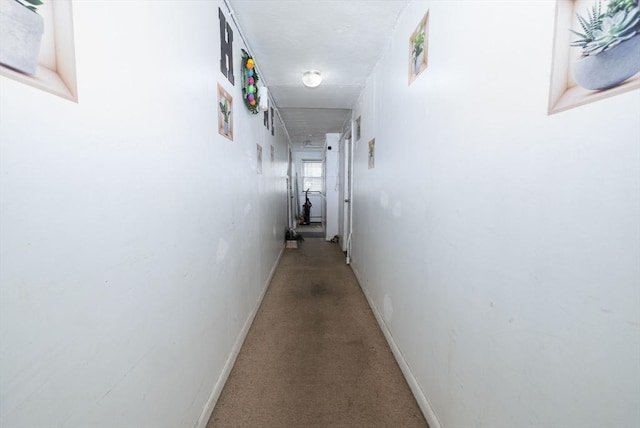 224-232 Caroline, New Bedford, MA 02740 - corridor with baseboards and light colored carpet