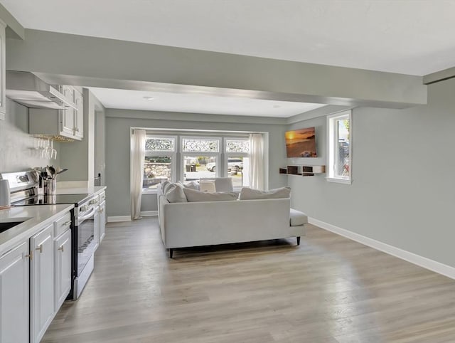 10 Vernon Ave, Hull, MA 02045 - living room featuring plenty of natural light and light wood-type flooring