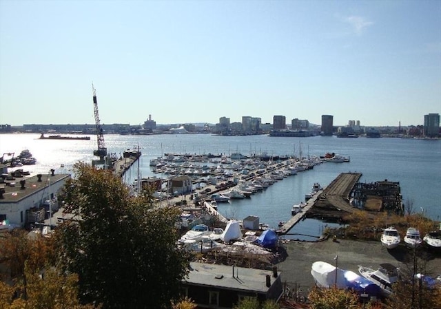 view of water feature featuring a view of city