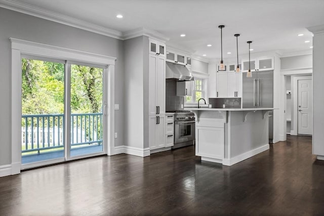 1 Farwell Cir, Newton, MA 02460 - kitchen featuring high end appliances, under cabinet range hood, healthy amount of natural light, backsplash, and recessed lighting