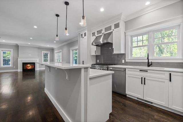 1 Farwell Cir, Newton, MA 02460 - kitchen with stainless steel dishwasher, a sink, under cabinet range hood, plenty of natural light, and crown molding