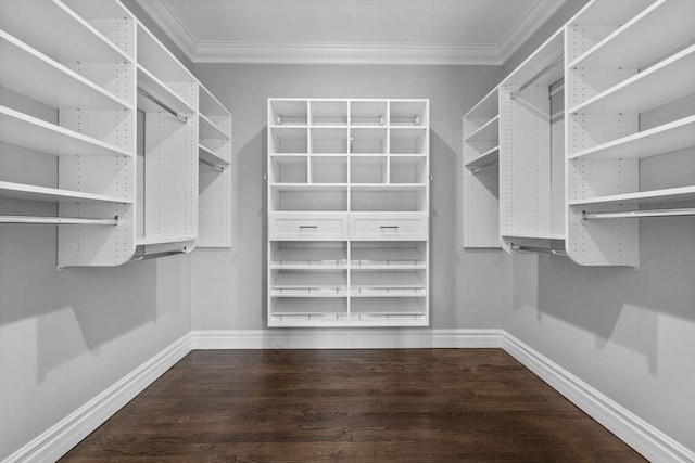 1 Farwell Cir, Newton, MA 02460 - walk in closet with dark wood-type flooring
