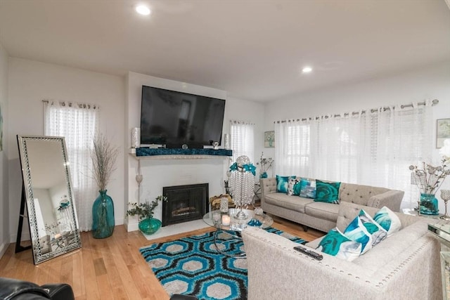 living room featuring hardwood / wood-style flooring