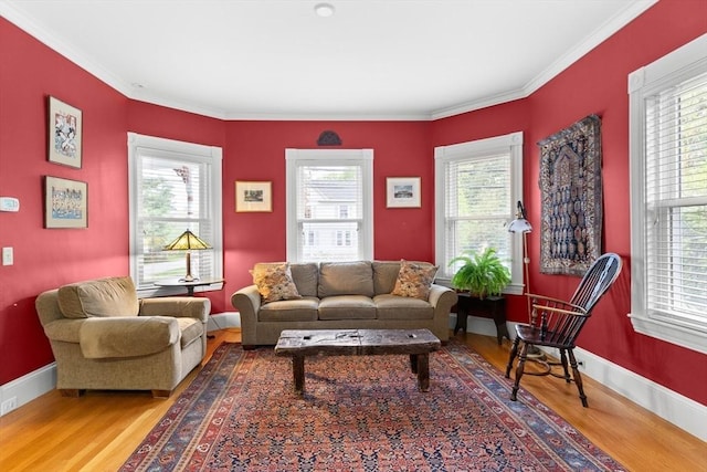 41 Clarke St, Lexington, MA 02421 - living area featuring wood finished floors, plenty of natural light, baseboards, and ornamental molding