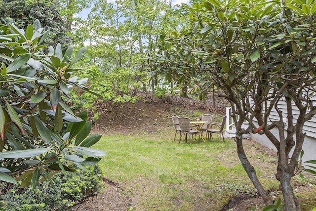 34 Staffordshire Ln Unit 34, Concord, MA 01742 - view of yard