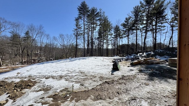 view of snowy yard