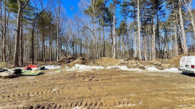 view of yard with a view of trees