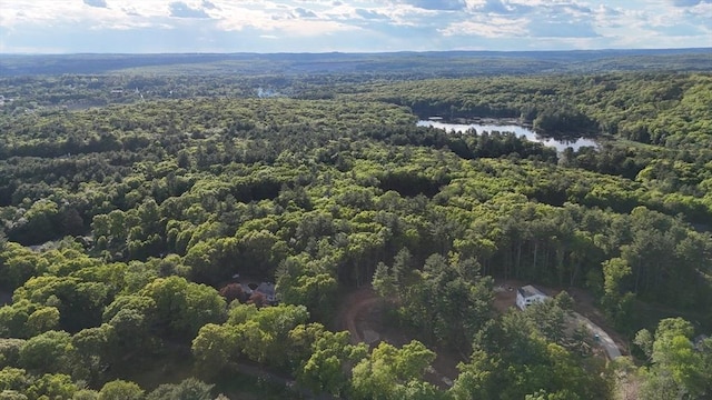 1 Brown Rd, Oxford, MA 01540 - aerial overview of property's location with a forest and a large body of water