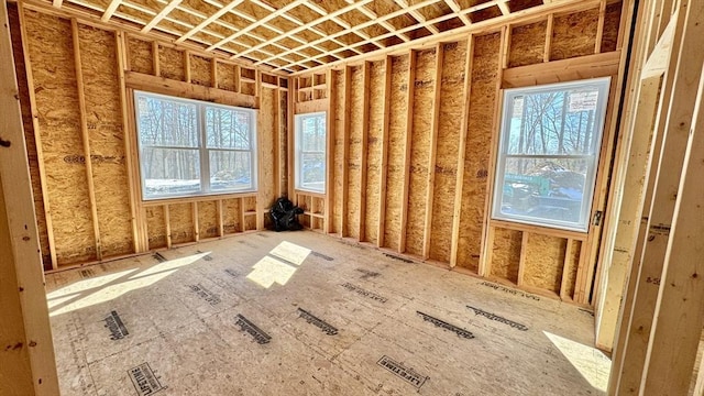 miscellaneous room with plenty of natural light