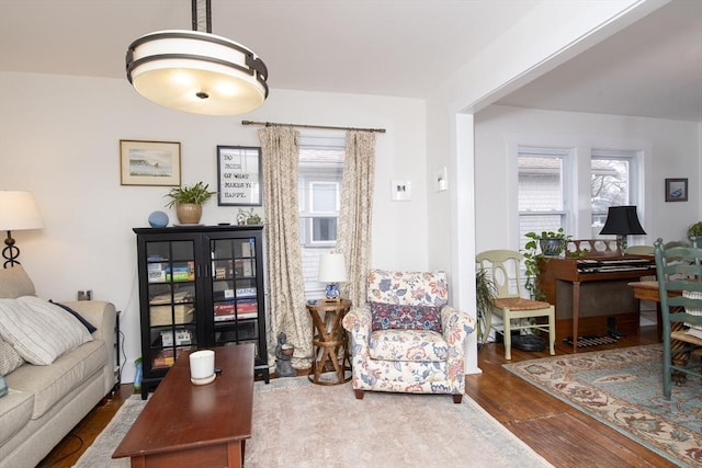 living area featuring wood finished floors