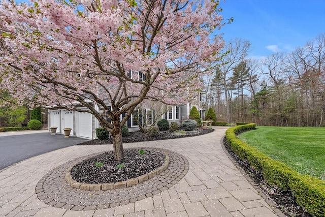 19 Cardiff Rd, Windham, NH 03087 - view of front of property featuring curved driveway and a front lawn