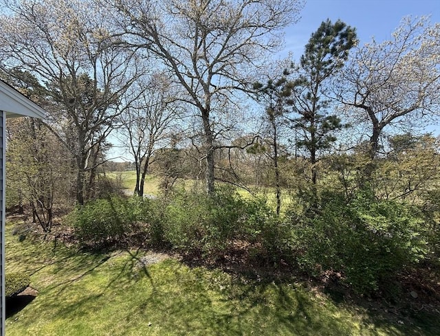 40 Eaton Ln Unit 162, Brewster, MA 02631 - view of yard