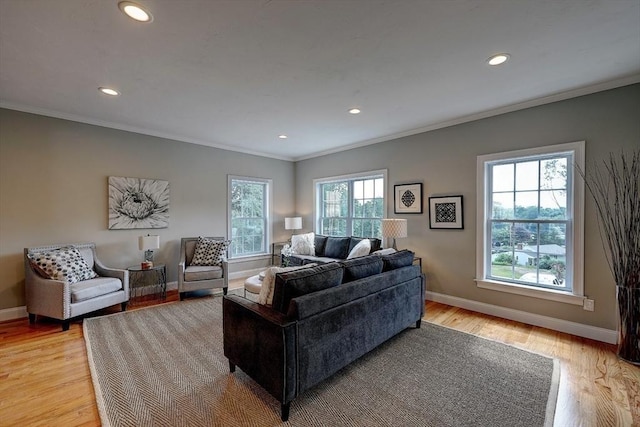 living room featuring ornamental molding and light hardwood / wood-style floors