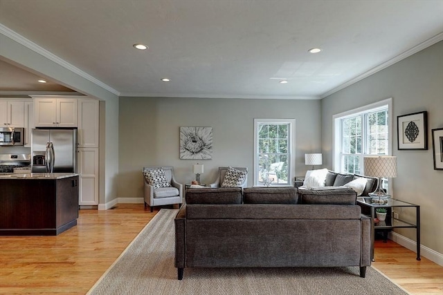 living room with crown molding and light wood-type flooring