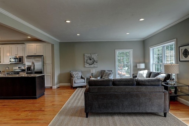 living room with sink, ornamental molding, and light wood-type flooring