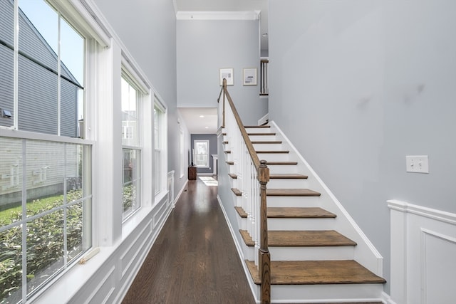 stairway featuring hardwood / wood-style floors