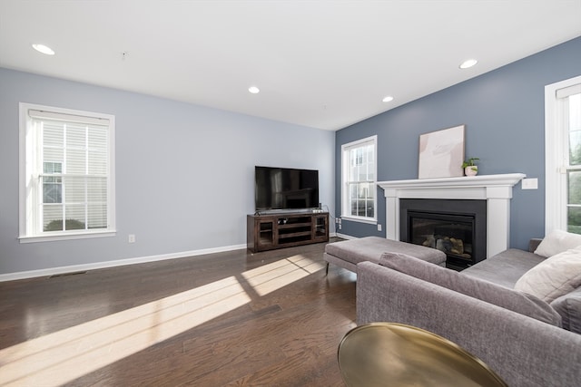 living room featuring dark hardwood / wood-style floors