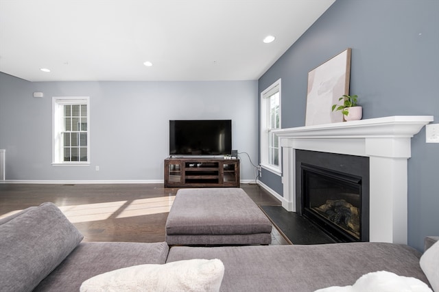 living room featuring dark hardwood / wood-style floors