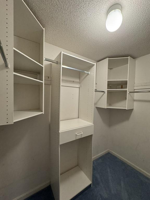 walk in closet with dark carpet