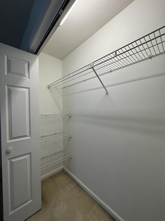 spacious closet with carpet