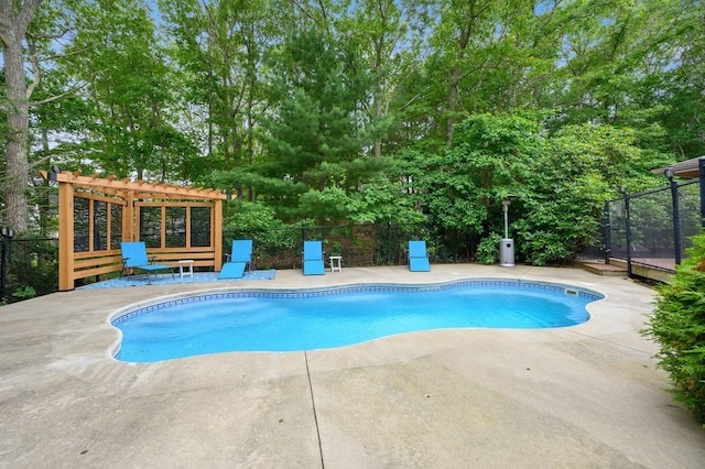 view of pool featuring a pergola and a patio