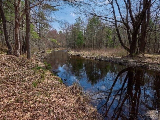 water view with a wooded view