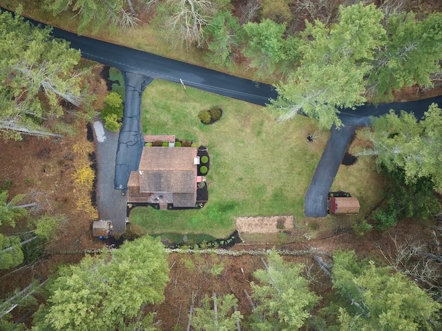 drone / aerial view