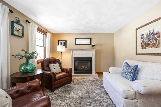 living area featuring a glass covered fireplace