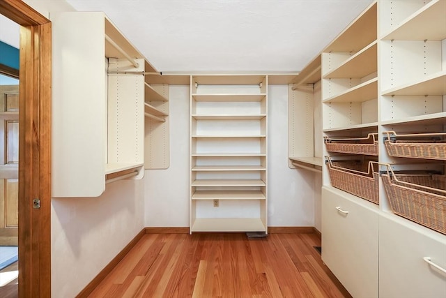 spacious closet featuring light wood finished floors