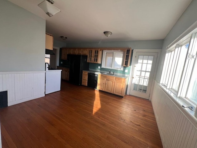 kitchen with backsplash, dark hardwood / wood-style flooring, black appliances, and sink