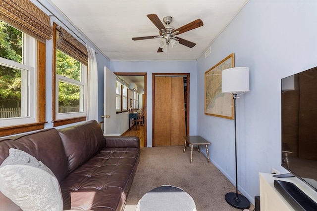 living room with ceiling fan and carpet