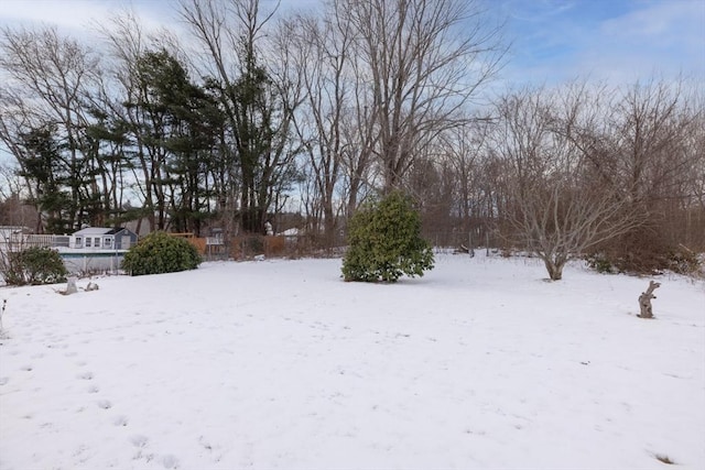 view of yard covered in snow