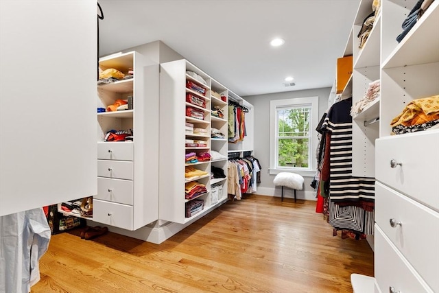 1 Apollo Cir, Lexington, MA 02421 - spacious closet featuring light wood-type flooring