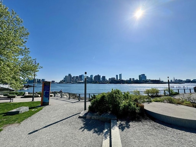 99 Sumner St Unit 305, Boston, MA 02128 - water view with a skyline view