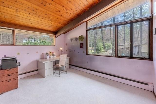 home office featuring a healthy amount of sunlight, baseboard heating, and a baseboard radiator