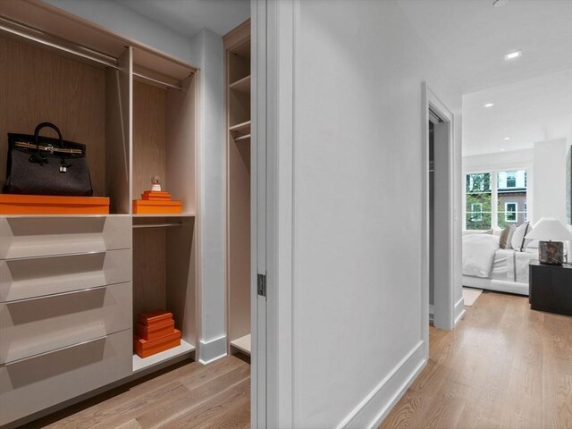 spacious closet with light wood-type flooring