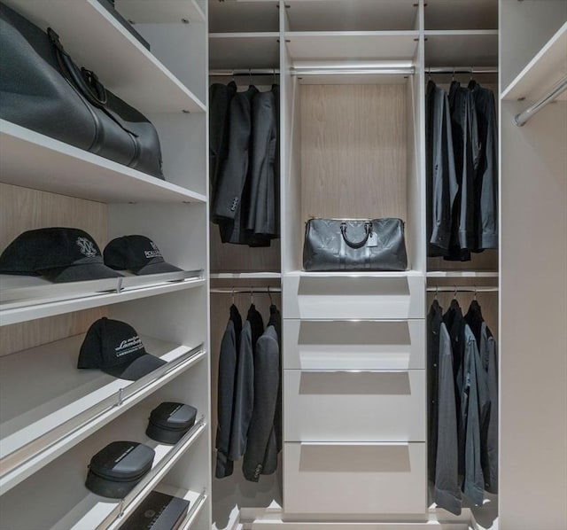 view of closet