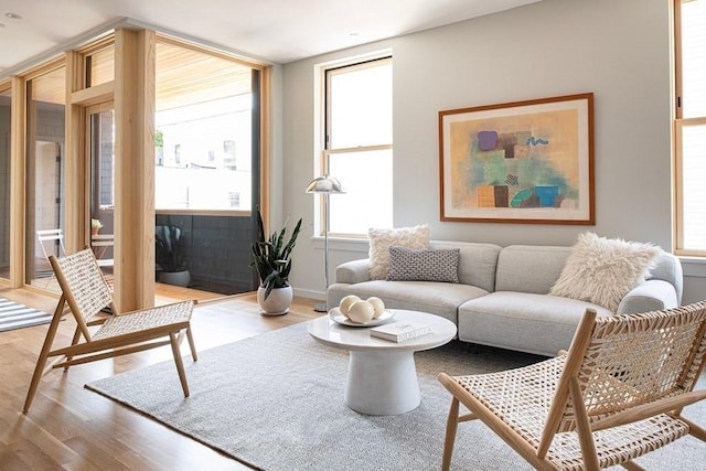 living room with wood-type flooring