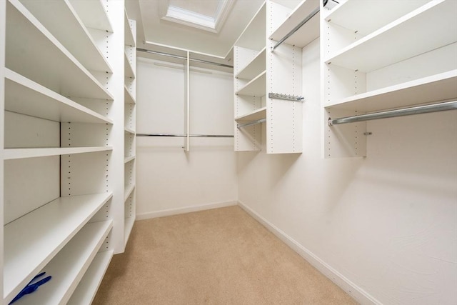 walk in closet with carpet