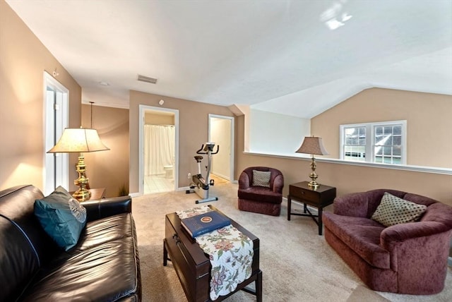 304 Godfrey Dr Unit 304, Norton, MA 02766 - carpeted living room with lofted ceiling