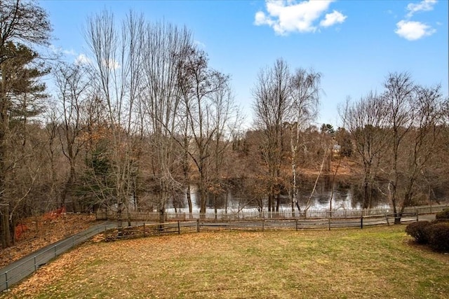 4 Rose Court Way Unit 4, Walpole, MA 02032 - view of yard