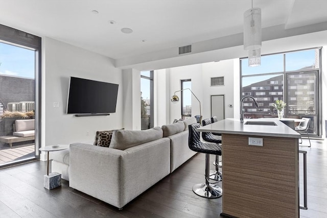 living room featuring dark hardwood / wood-style flooring, a healthy amount of sunlight, and sink