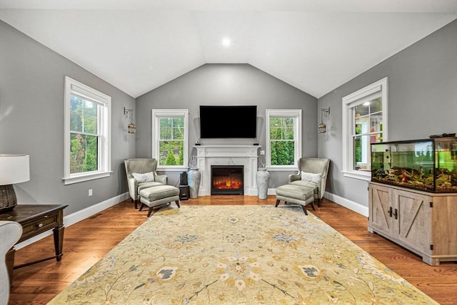 living room with lofted ceiling, baseboards, a fireplace, and wood finished floors